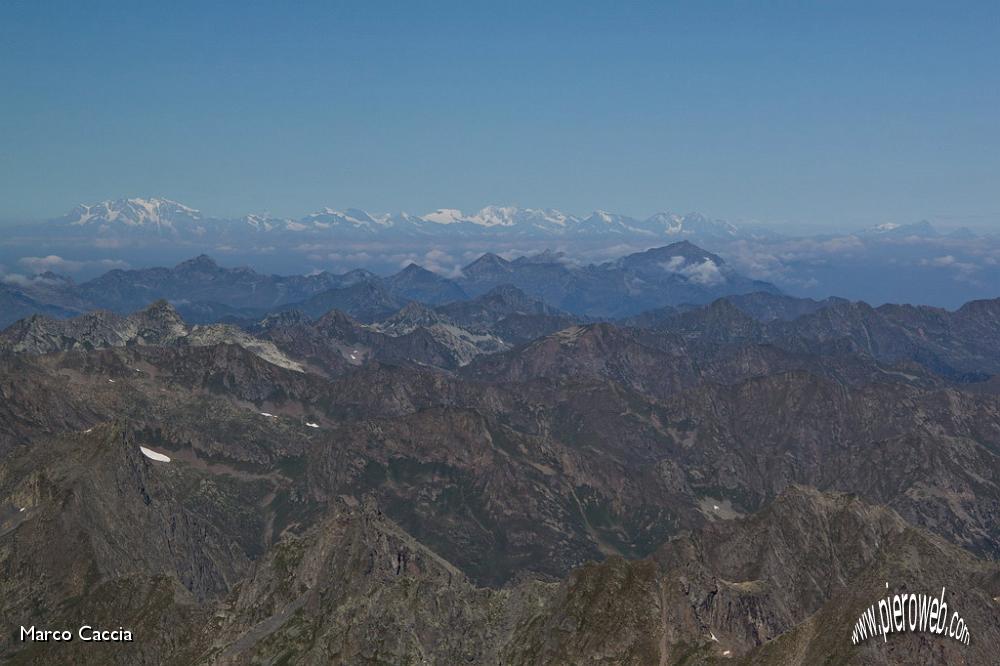 14_Rosa e Alpi del Vallese.JPG